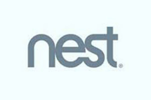 nest nest